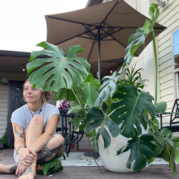 Meet your Posher, Taylor - Picture 2 of 8